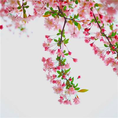 挂机吧主公华为版下载